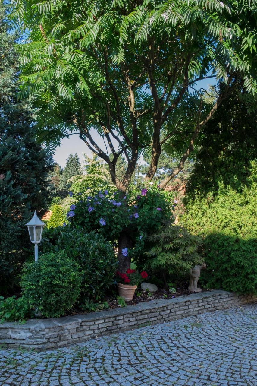 Gaestehaus Stoegmueller Asten Εξωτερικό φωτογραφία